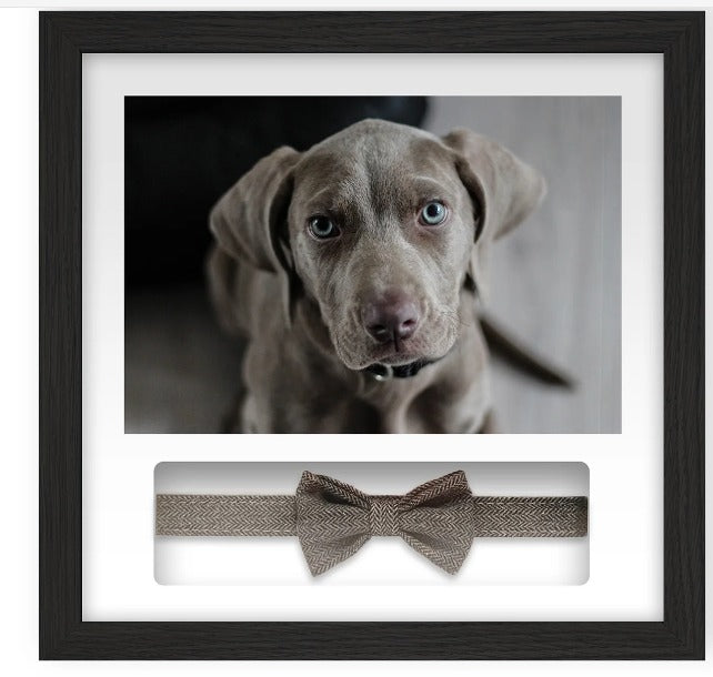 Pet Memorials - Pet Memory Frame & Collar
