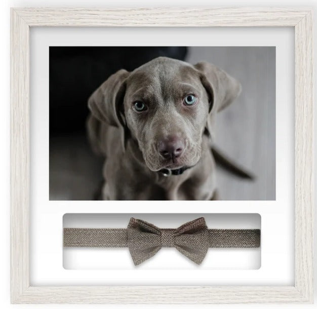 Pet Memorials - Pet Memory Frame & Collar