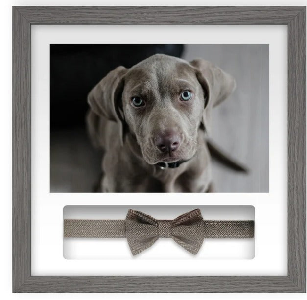 Pet Memorials - Pet Memory Frame & Collar
