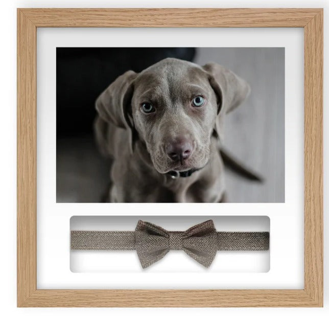 Pet Memorials - Pet Memory Frame & Collar
