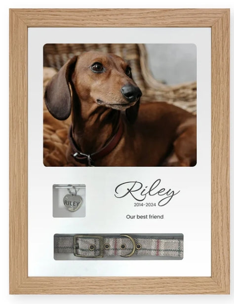Pet Memorials - Pet Memory Frame, Collar & Tag