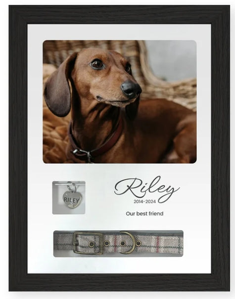 Pet Memorials - Pet Memory Frame, Collar & Tag