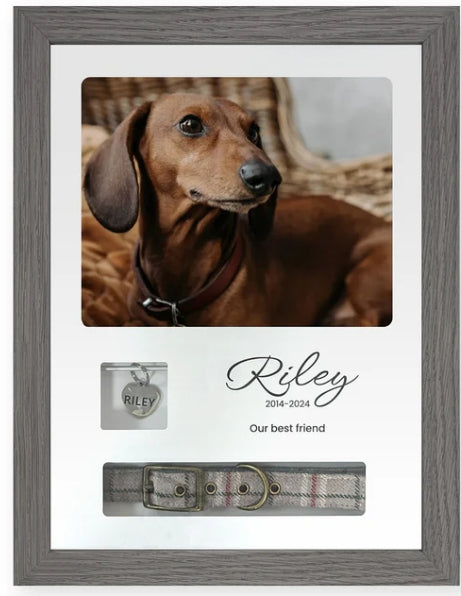 Pet Memorials - Pet Memory Frame, Collar & Tag