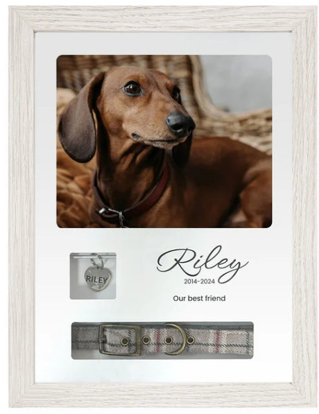 Pet Memorials - Pet Memory Frame, Collar & Tag