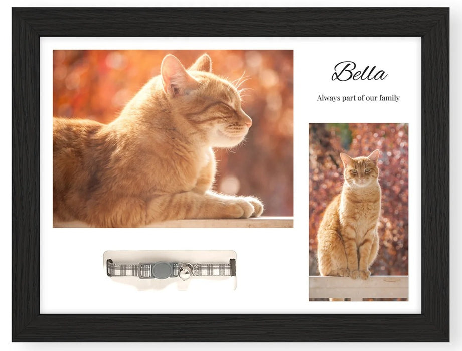 Pet Memorials - Pet Memory Photo Frame & Collar