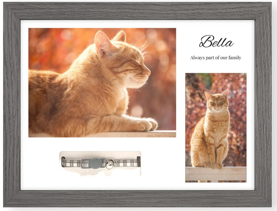 Pet Memorials - Pet Memory Photo Frame & Collar