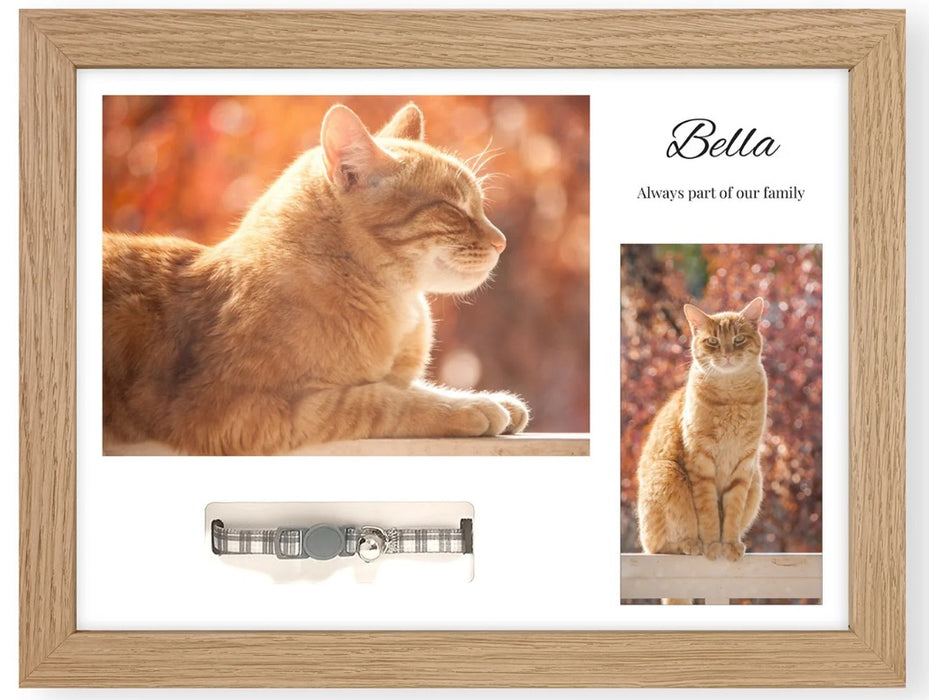 Pet Memorials - Pet Memory Photo Frame & Collar