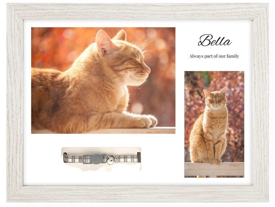 Pet Memorials - Pet Memory Photo Frame & Collar