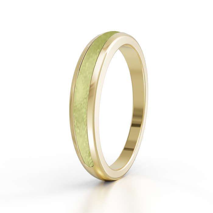 Always With Me Half Eternity Ashes Ring 9kt Gold (AWM-R4G)