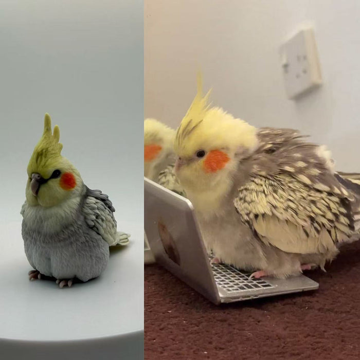Kithkins Pet Portraits - 3D portrait of your pet