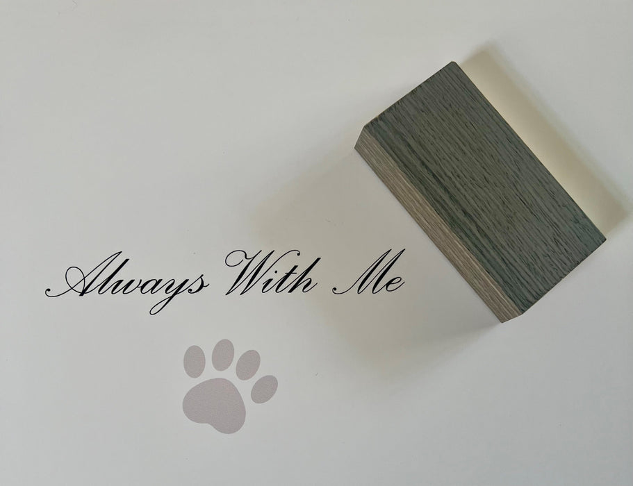 Pet Memorials - Pet Memory Frame & Collar