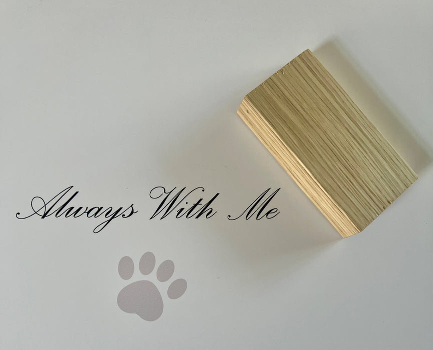 Pet Memorials - Pet Memory Frame, Collar & Tag