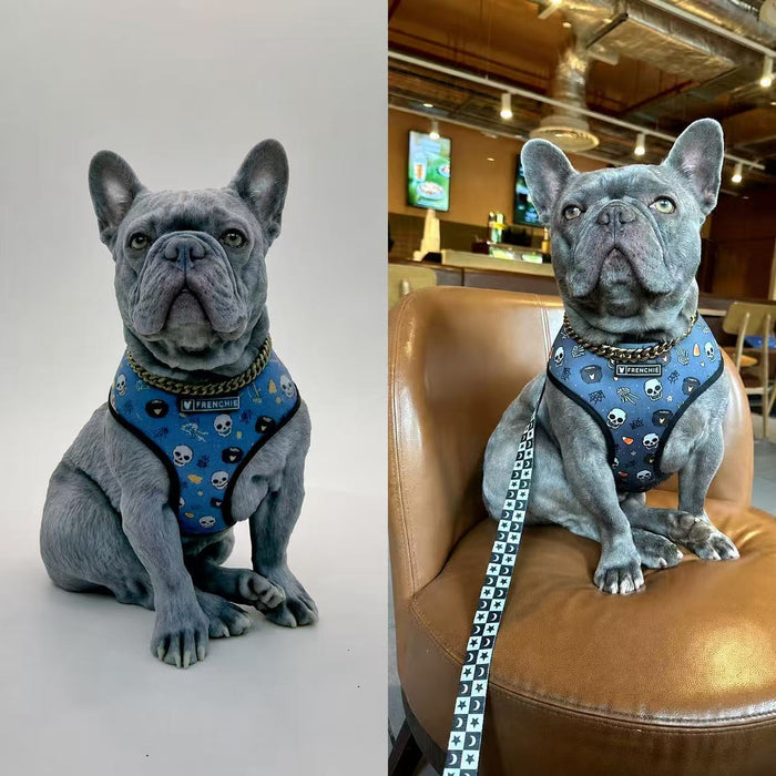 Kithkins Pet Portraits - 3D portrait of your pet