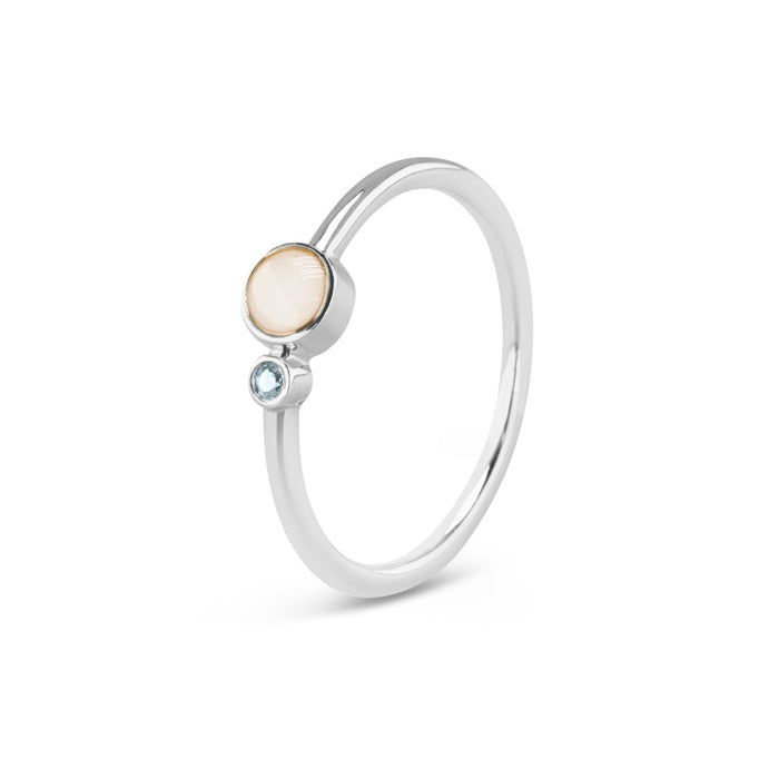 See You Memorial Birth Stone Simple Band Ashes Silver Ring (RG047)
