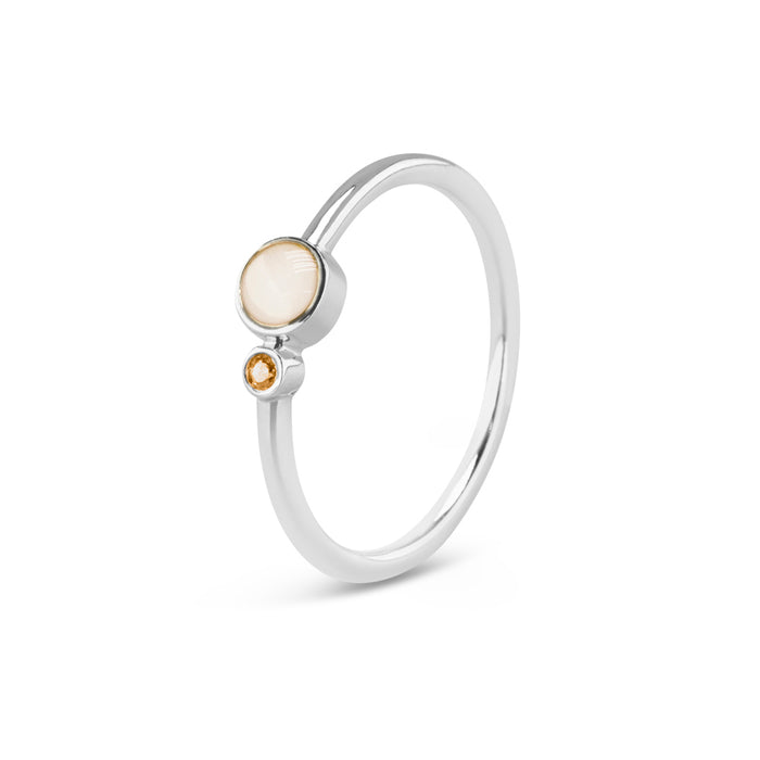 See You Memorial Birth Stone Simple Band Ashes Silver Ring (RG047)