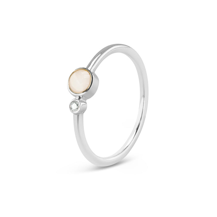 See You Memorial Birth Stone Simple Band Ashes Silver Ring (RG047)
