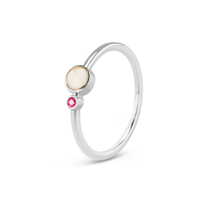 See You Memorial Birth Stone Simple Band Ashes Silver Ring (RG047)