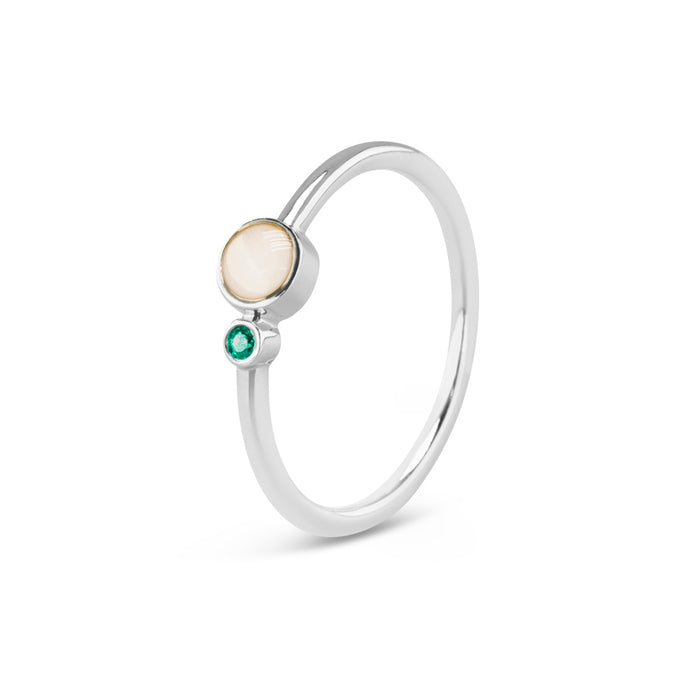 See You Memorial Birth Stone Simple Band Ashes Silver Ring (RG047)