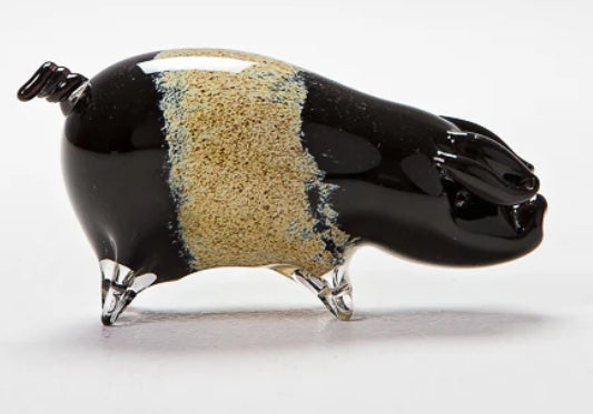 Forever Into Glass Saddleback Pig