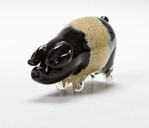 Forever Into Glass Saddleback Pig