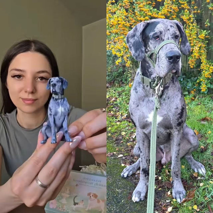 Kithkins Pet Portraits - 3D portrait of your pet